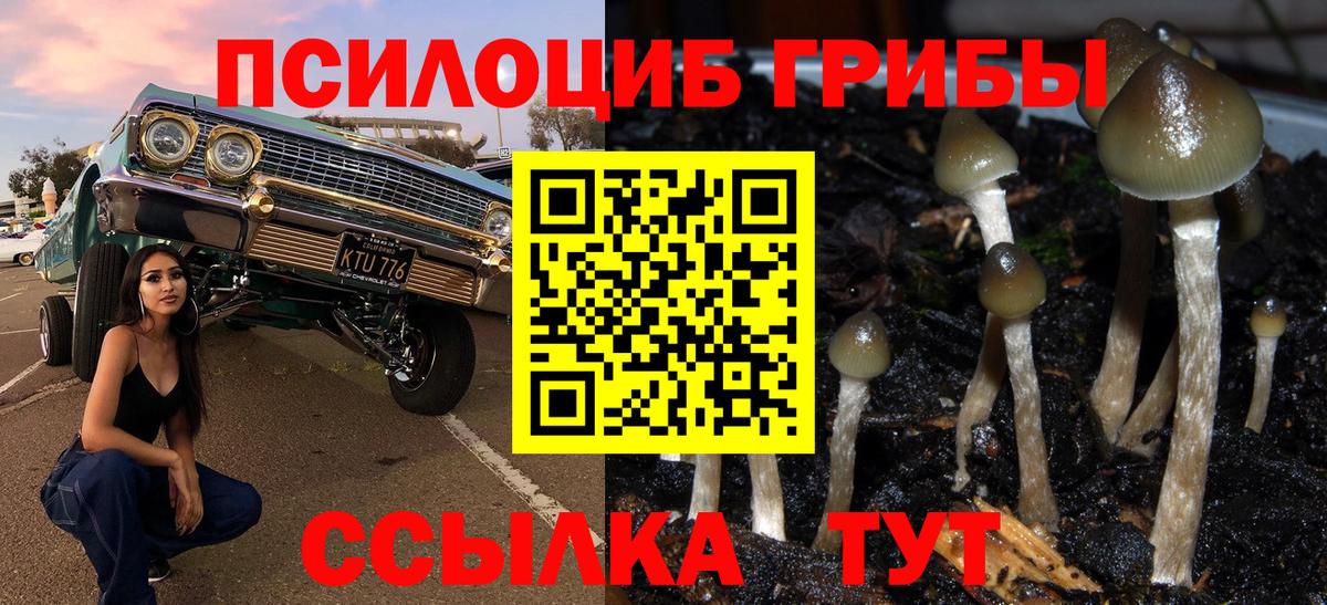 Галлюциногенные грибы Cubensis  Вход с VPN  Саратов 